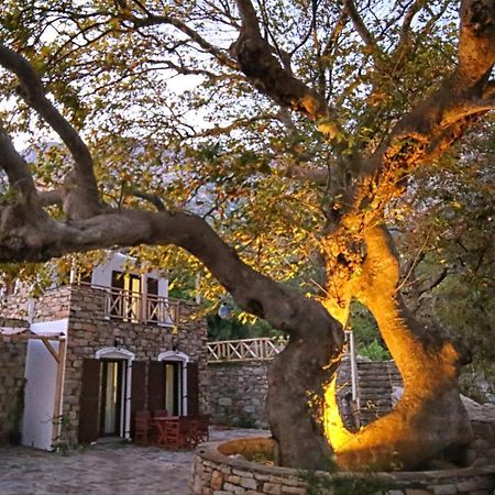 Ικαριων Γη Vila Manganítis Exterior foto